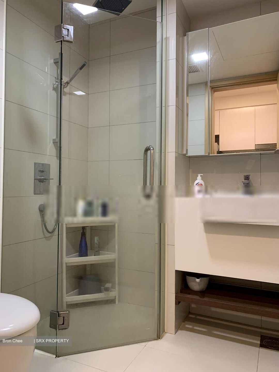 Eight Riversuites (D12), Condominium #404712081